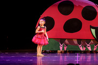 Ladybug Boogie