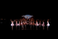 Coppelia