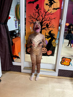 Wed 815 Ballet Jenn Islip C
